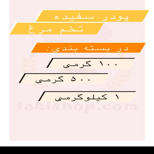 پودر سفیده تخم مرغ